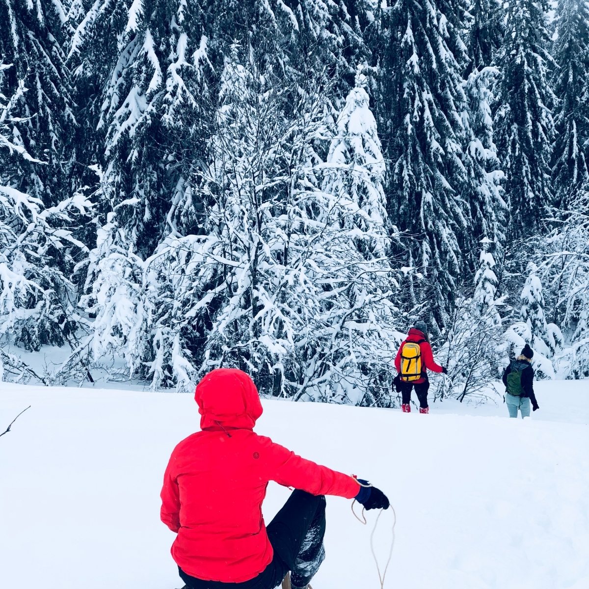 Rodeln auf Schlitten in Tirol