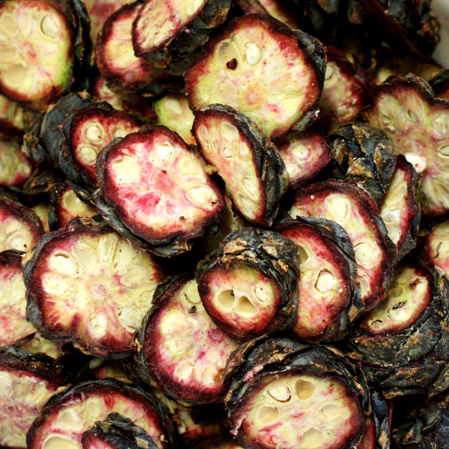 Production of pine schnapps from pine cones in Tyrol